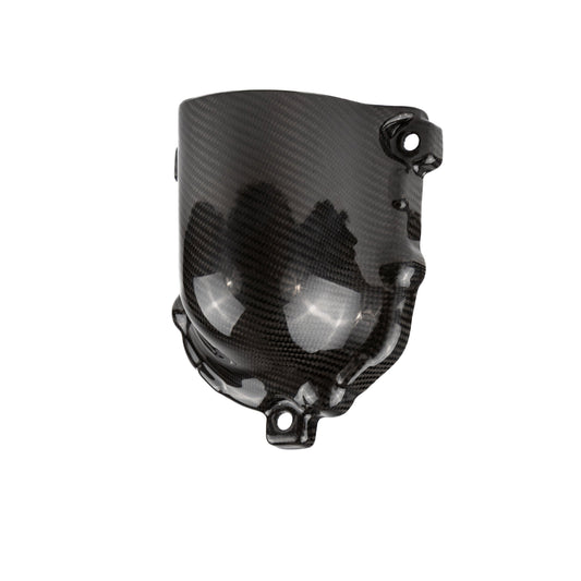 RPM Kawasaki H2 Carbon Fiber Supercharger Cover