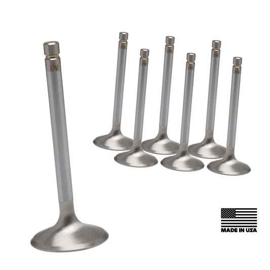 WSRD STD Size Intake & Exhaust Valves | Can-Am X3