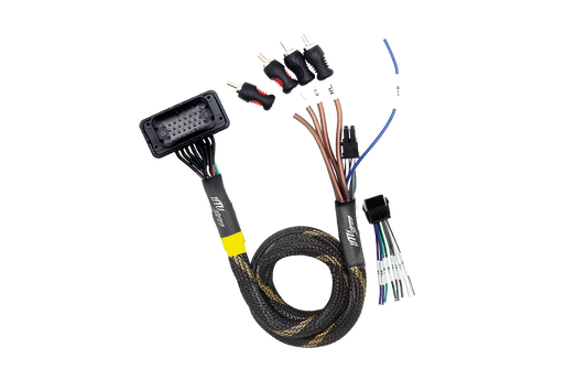 JBL® RCA Output Harness | UTVS-JBL-RC-RCA-OUT
