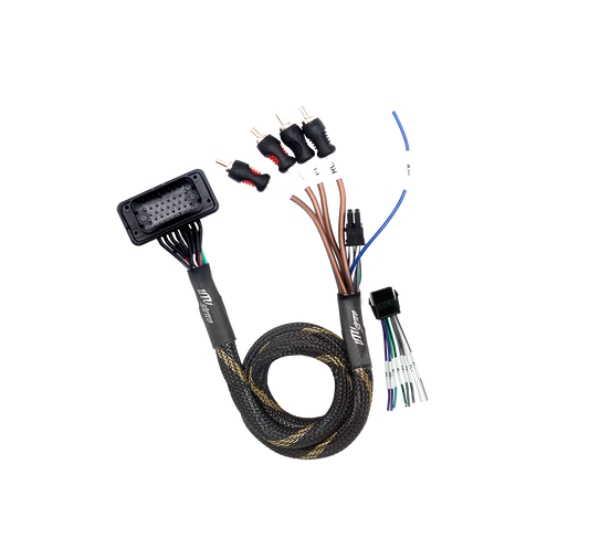 '20-'26 RZR® Pro Series Ride Command Front & Rear RCA Output + Speaker Wire & Remote | UTVS-PRO-RC-RCA-OUT