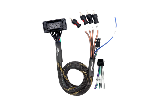 '20-'26 RZR® Pro Series Ride Command Front & Rear RCA Output + Speaker Wire & Remote | UTVS-PRO-RC-RCA-OUT