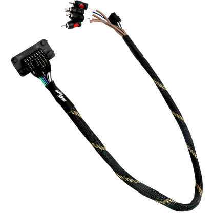 '20-'26 RZR® Pro Series Ride Command Front & Rear RCA Output + Speaker Wire & Remote | UTVS-PRO-RC-RCA-OUT